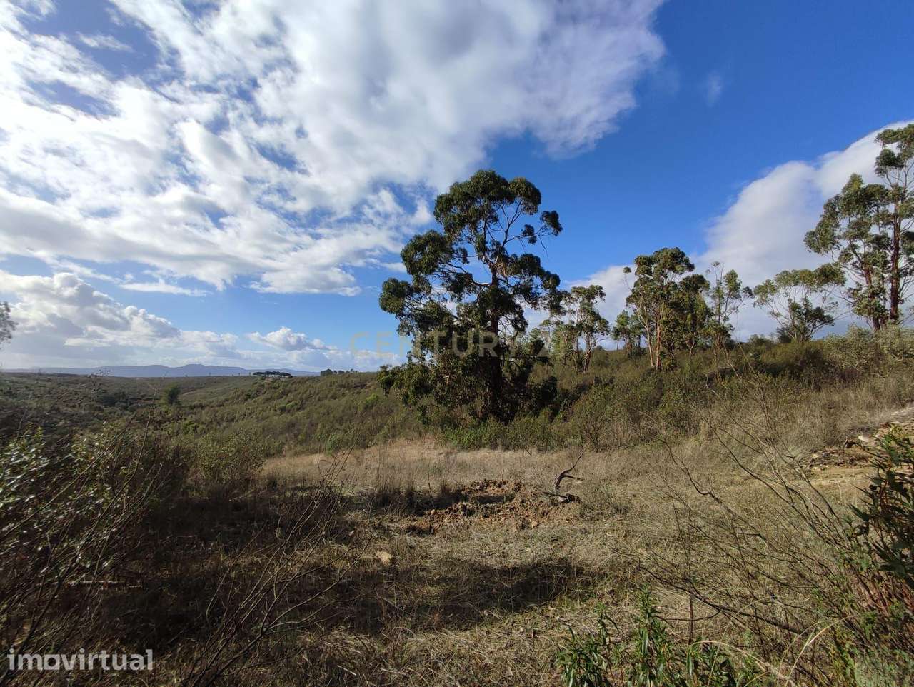 Terreno Rustico com 13520M2 - Grande imagem: 5/9