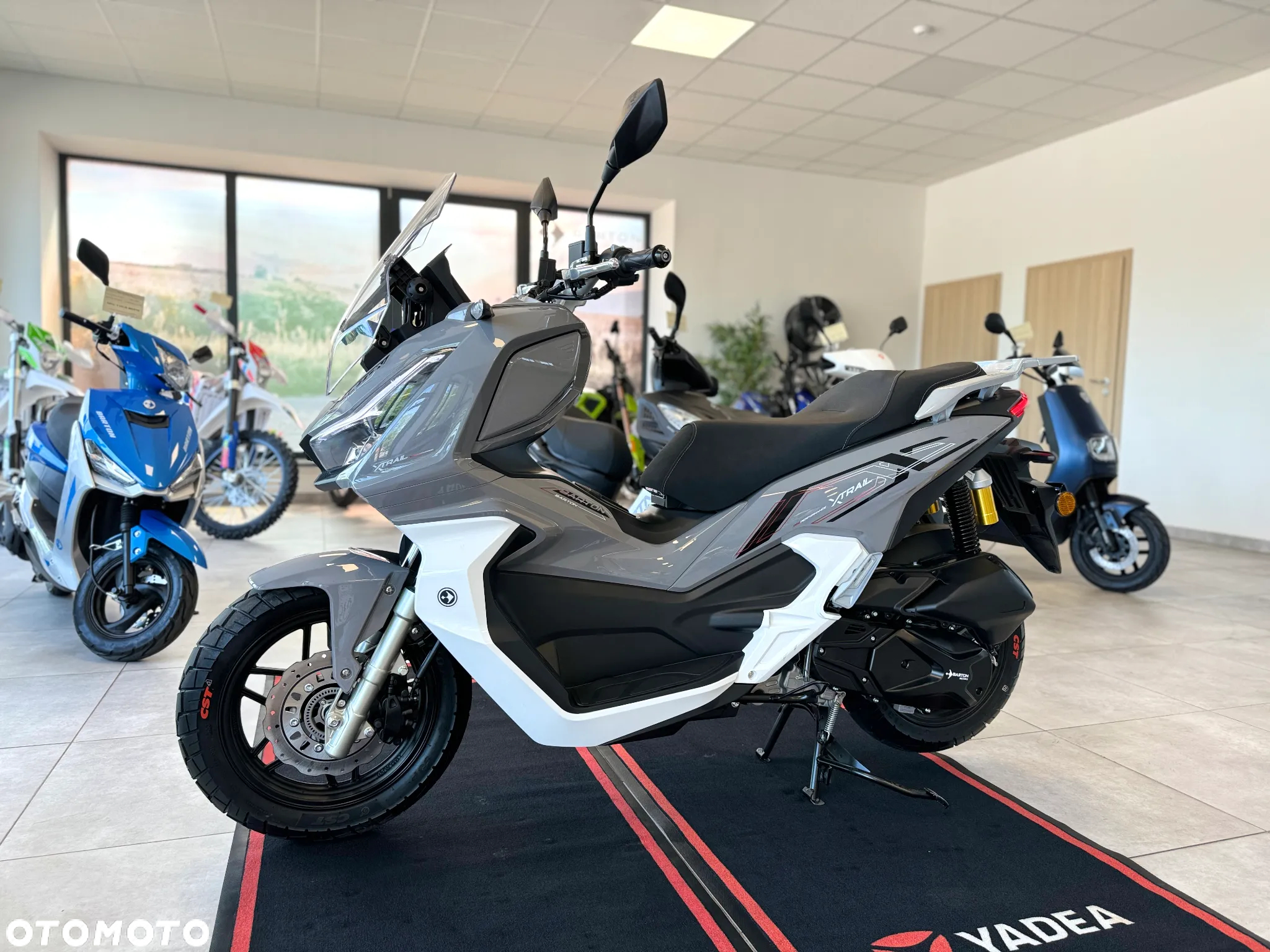 Barton X-Trail - 12