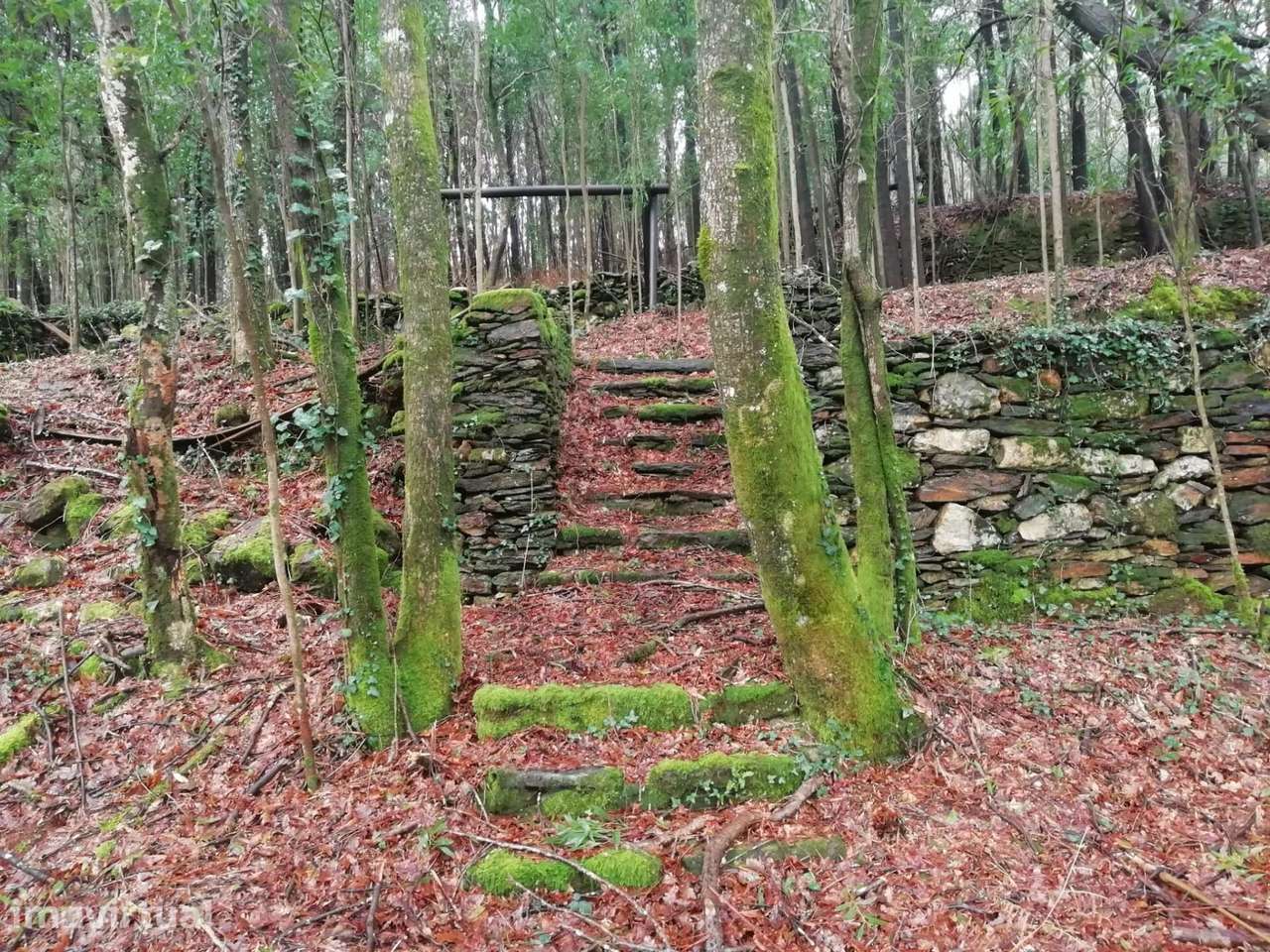 Terreno no Vale do Âncora com Frente de Rio – Gondar e Orbacem, Caminh - Grande imagem: 3/35