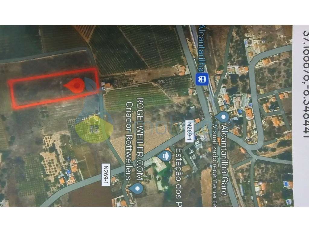 Terreno rústico pertíssimo de Alcantarilha, excelente para horta ou... - Grande imagem: 3/7