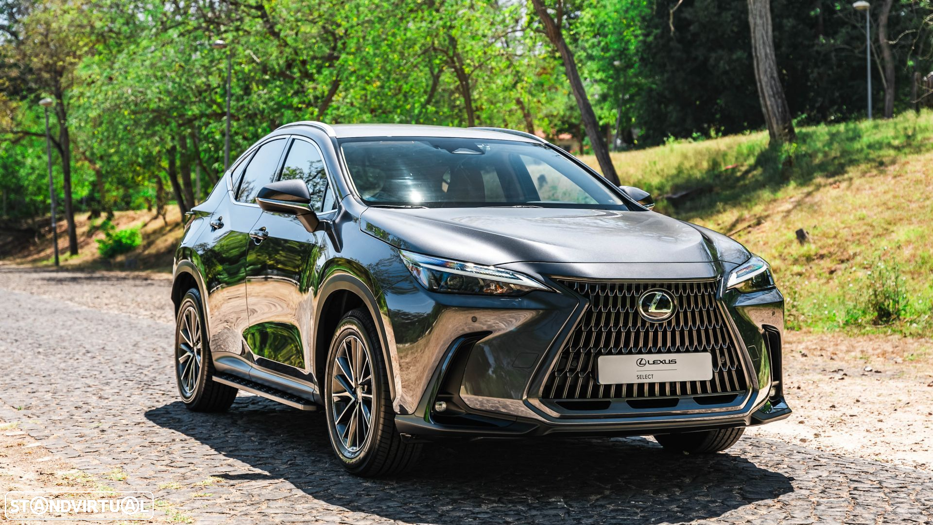 Lexus NX 450h+ Executive - 3