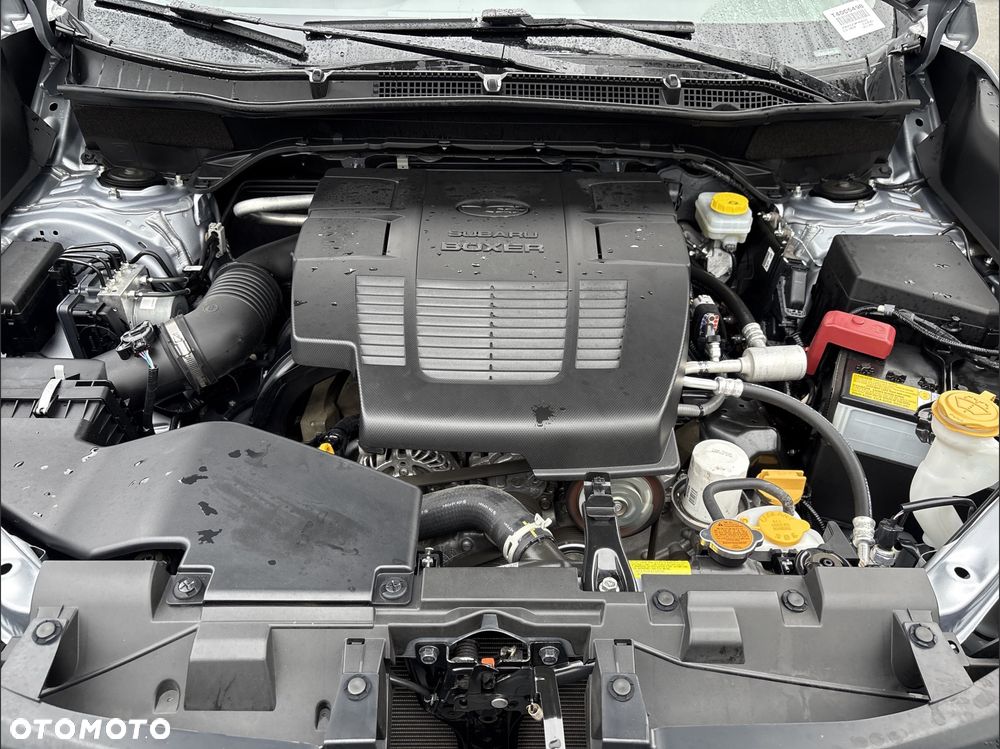 Subaru Forester - 17