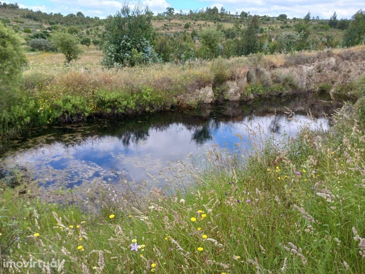 Quinta - Grande imagem: 3/9