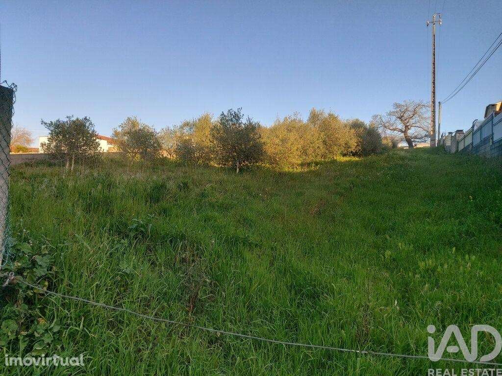 Terreno para construção em Batalha - Grande imagem: 4/23