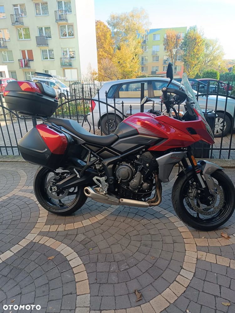 Triumph Tiger - 1