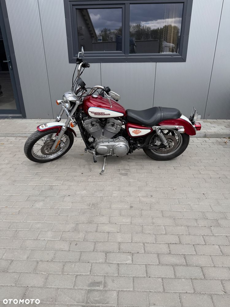 Harley-Davidson Sportster Custom 883C - 7