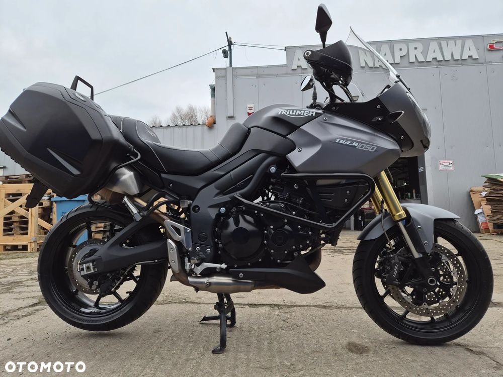 Triumph Tiger - 11
