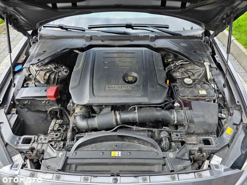 Jaguar XE E-Performance Pure - 18