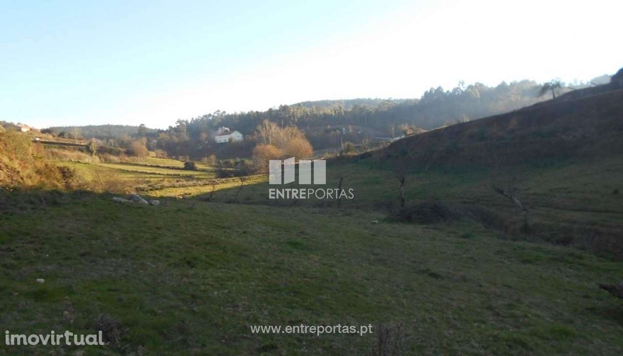 Venda de Terreno, Cunha, Paredes de Coura - Grande imagem: 2/33