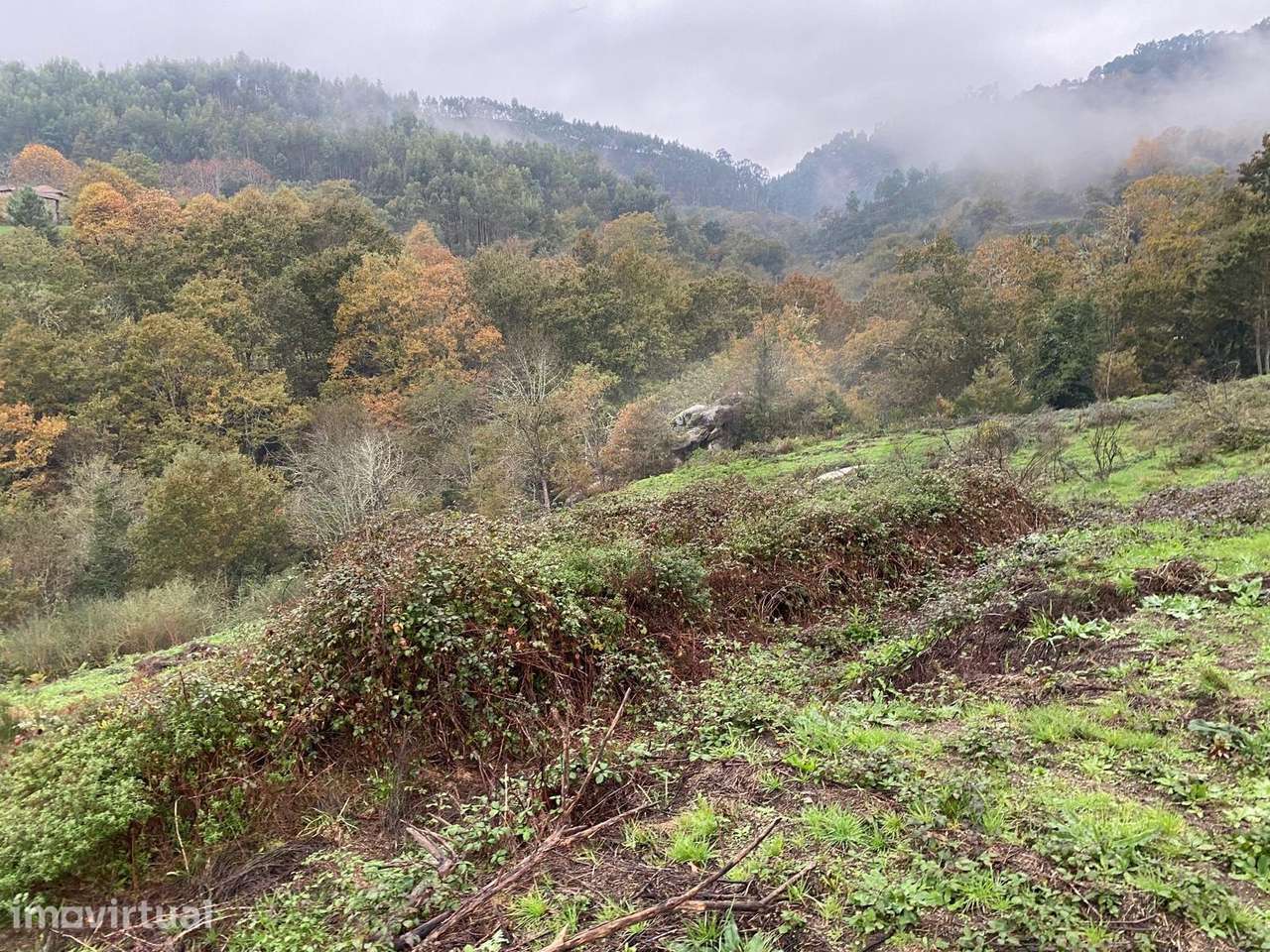 Propriedade Rústica com Dependência Agrícola e Rio – Abadim, Cabeceira - Grande imagem: 4/17