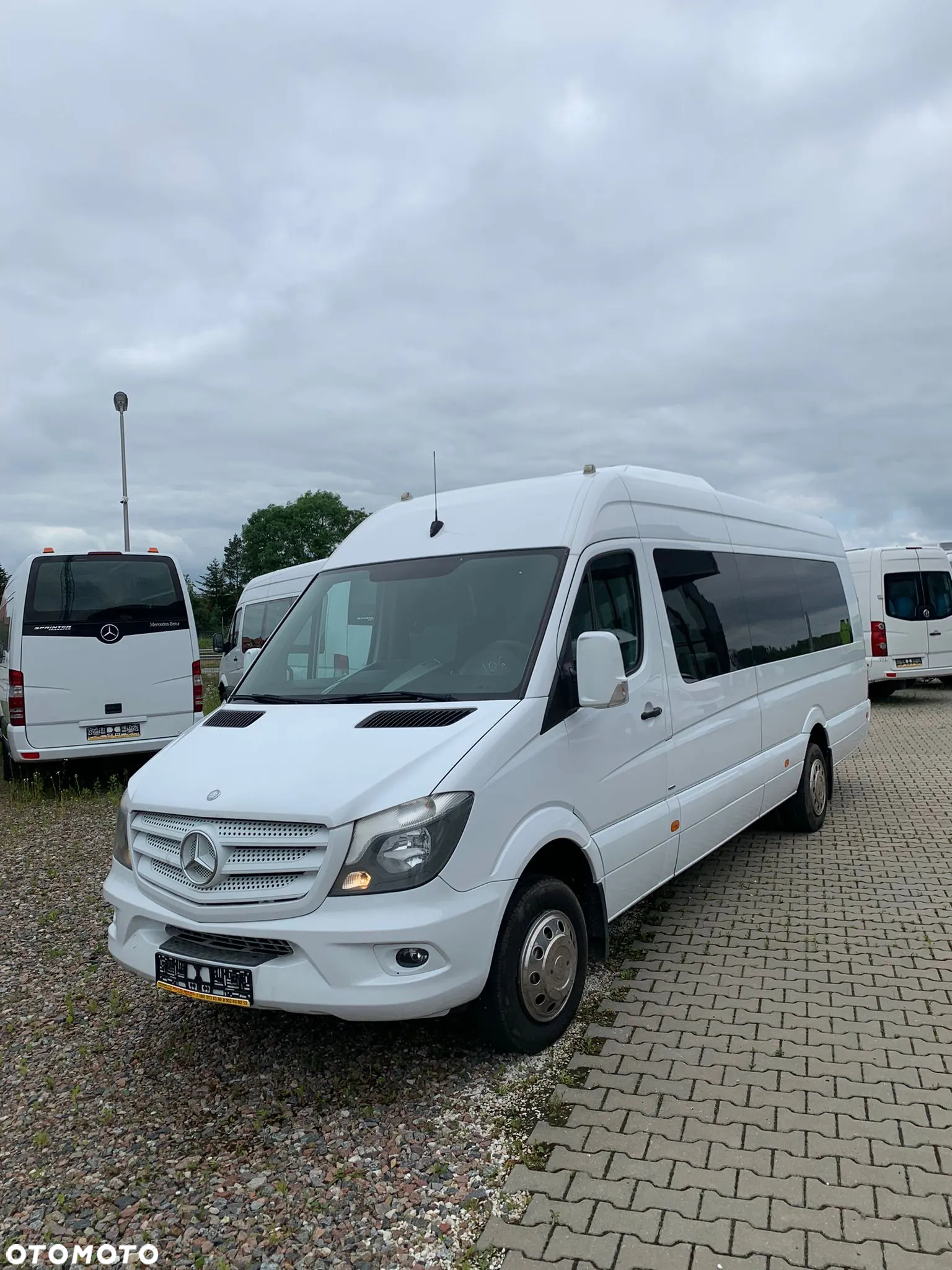 Mercedes-Benz Sprinter 516 CDI- 24 Miejsca - 4