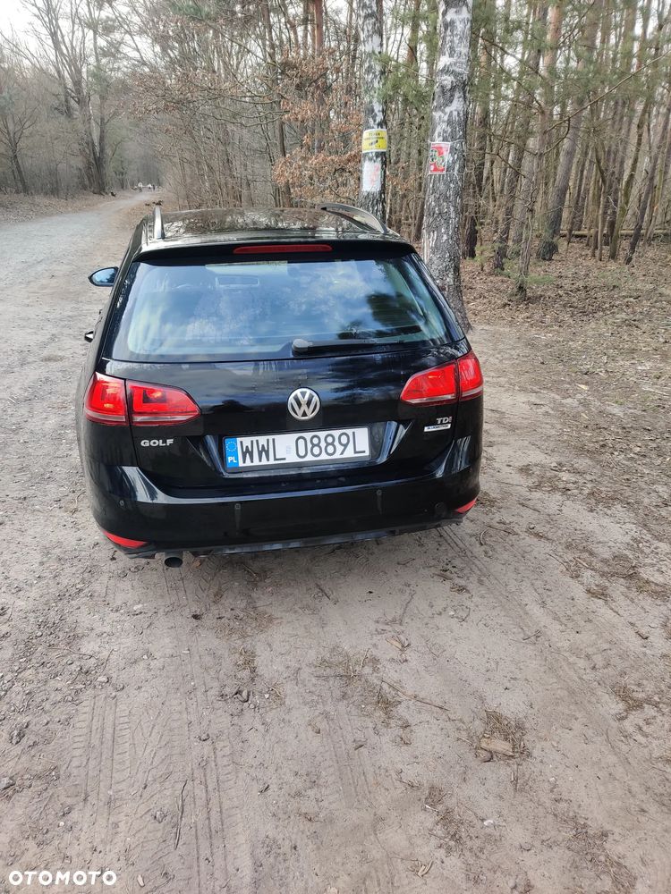 Volkswagen Golf 1.6 TDI DPF BlueMotion - 18