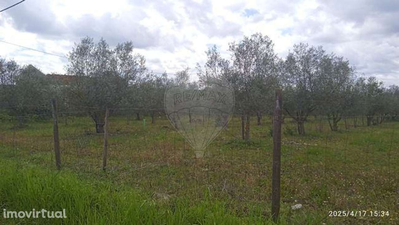 Terreno  para venda - Grande imagem: 2/8