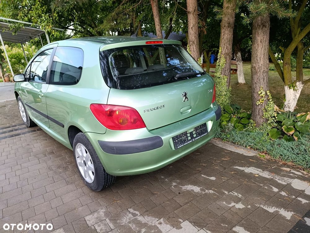 Peugeot 307 110 Grand Filou - 5