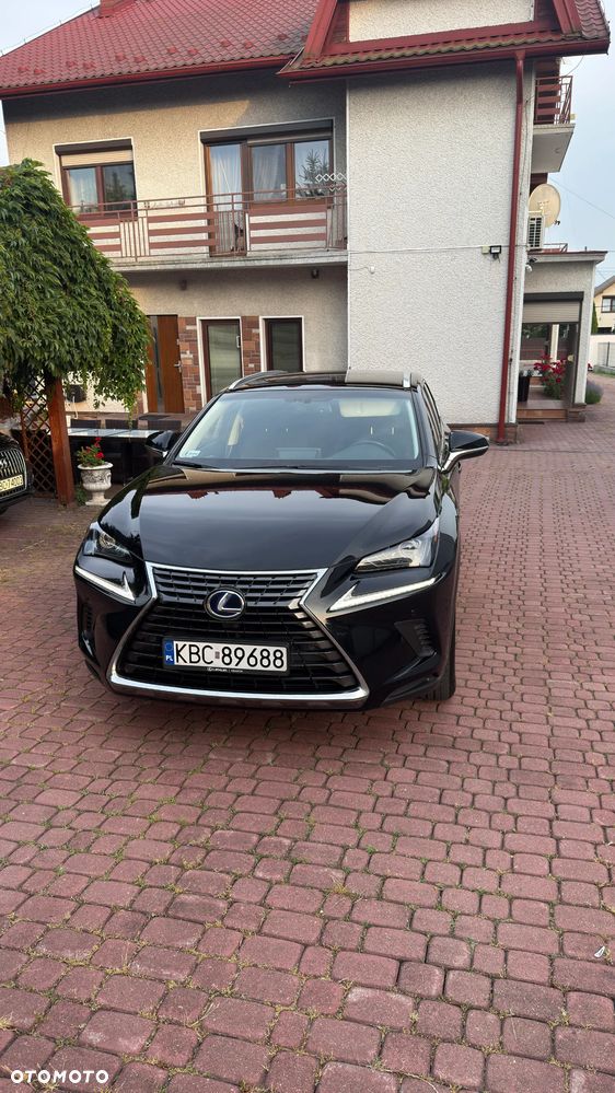 Lexus NX 300h Elegance + Business AWD - 1
