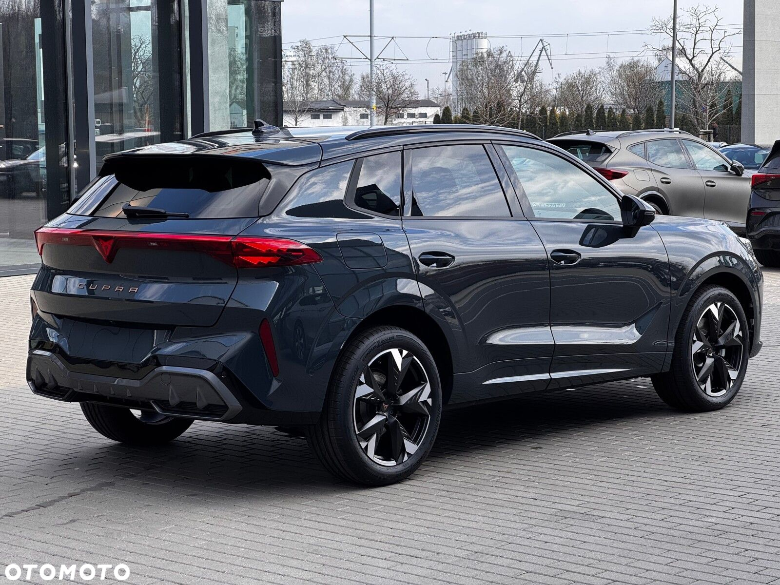 Cupra Terramar 2.0 TSI 4Drive DSG - 8