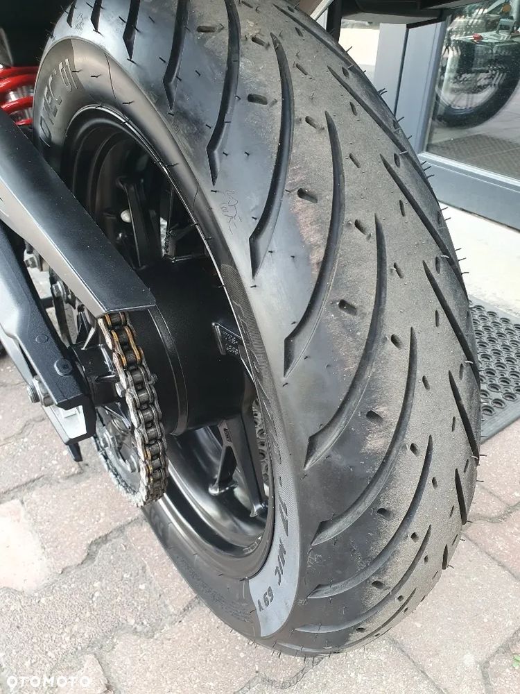 Triumph Tiger - 31