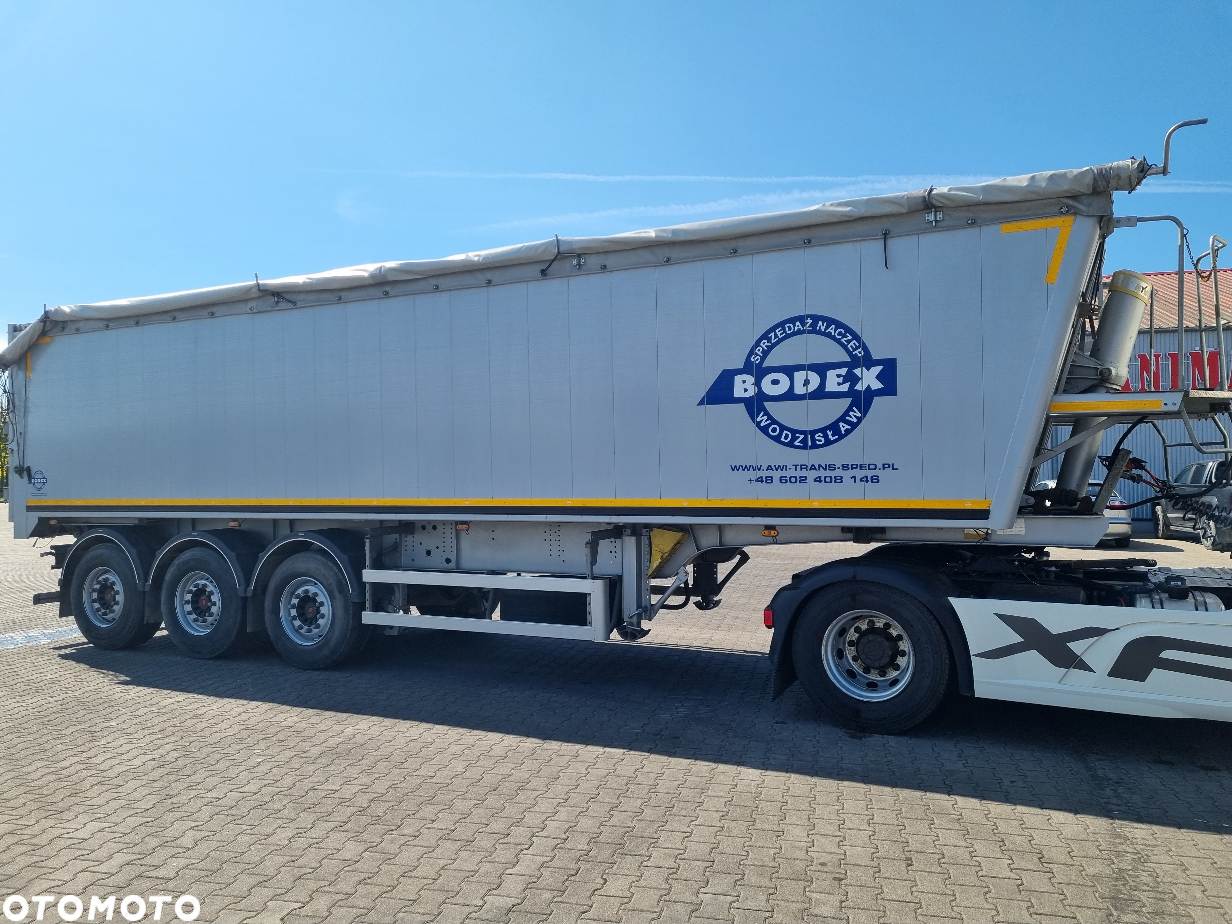 Bodex - 3