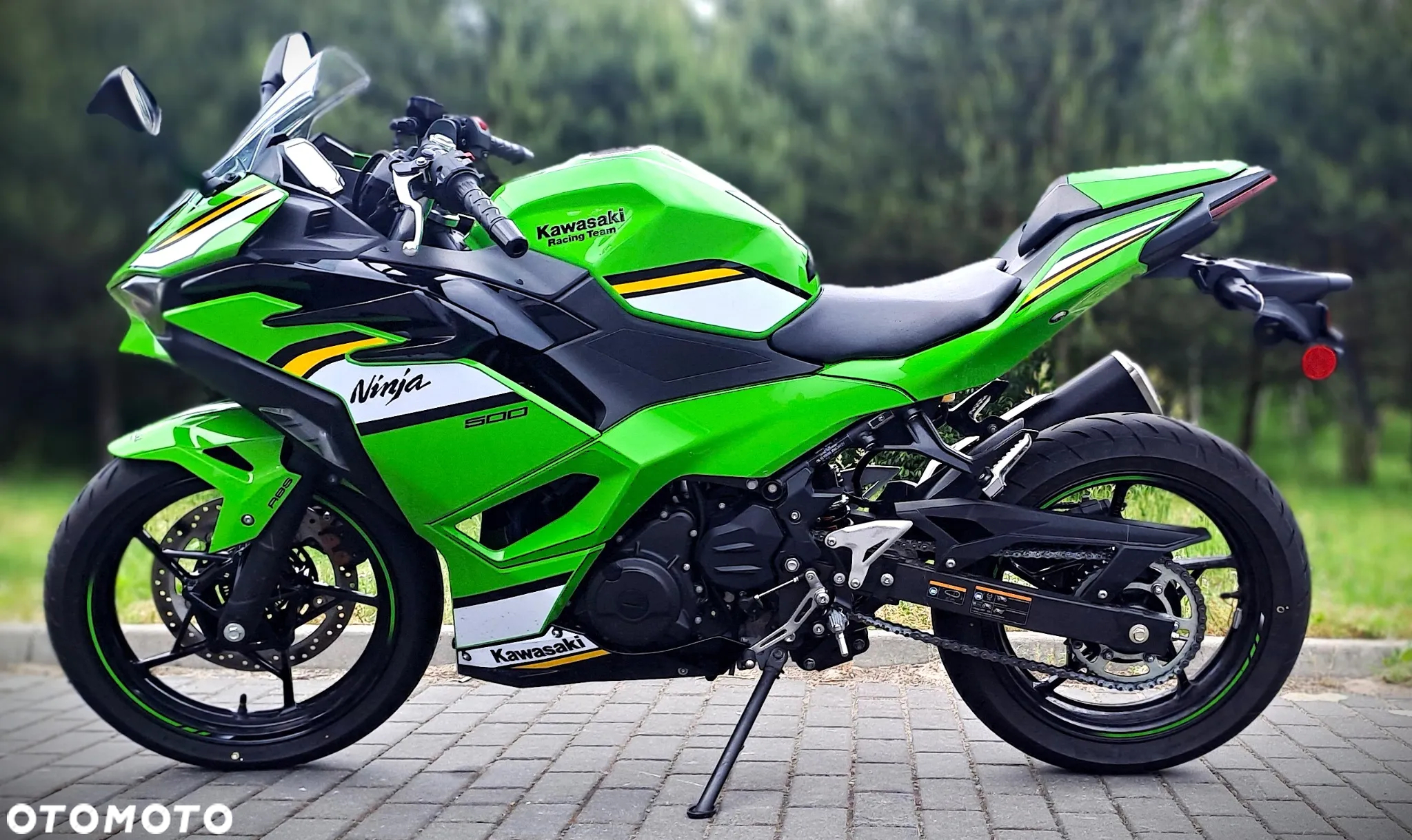 Kawasaki Ninja - 3