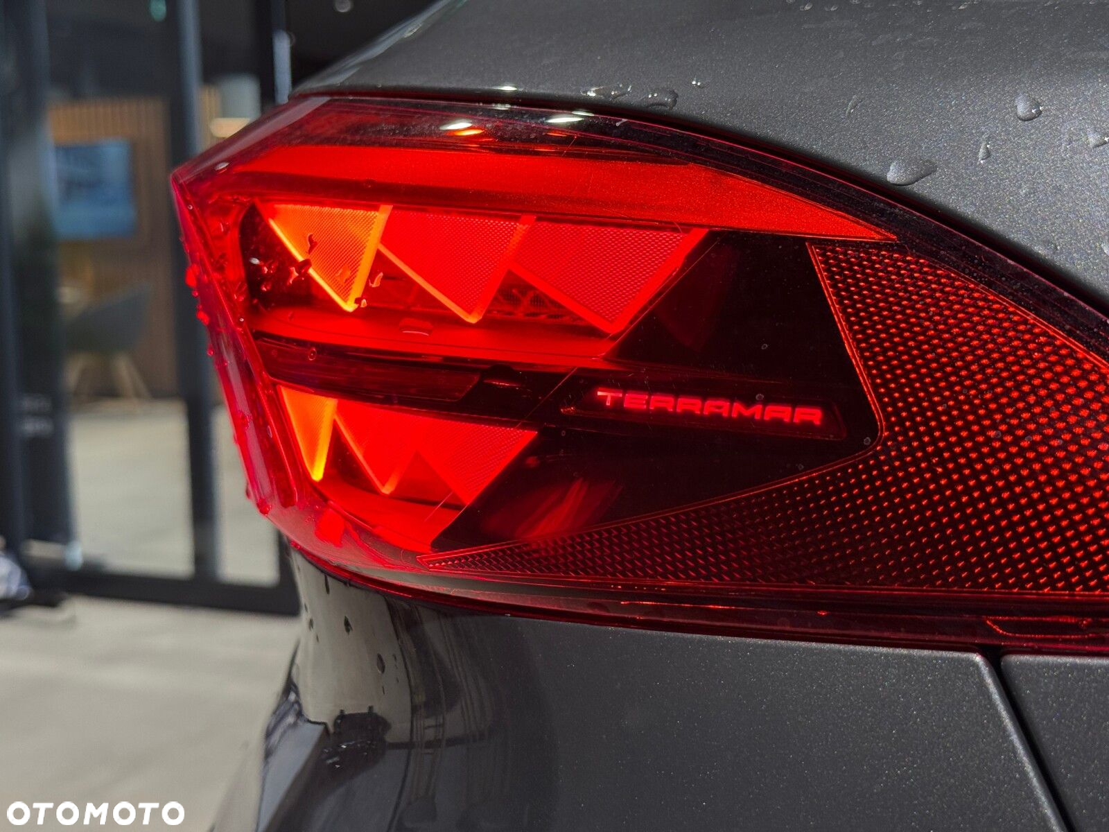 Cupra Terramar - 13