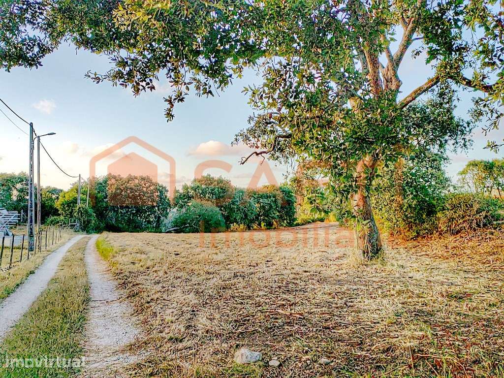 Alcobaça | 5.000 m² | Turismo Rural 10+ Quartos no novo PDM. - Grande imagem: 4/15
