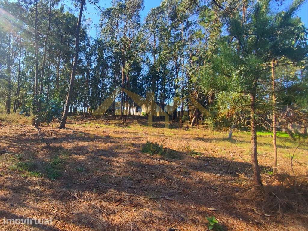 Terreno ideal para moradia de sonho - 1600 m²,90% construção - Grande imagem: 4/25