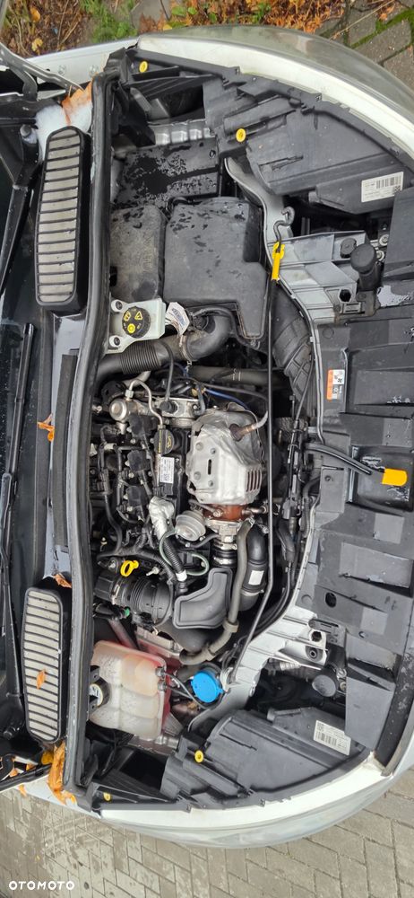 Ford Grand C-MAX 1.0 EcoBoost Start-Stopp-System Ambiente - 34