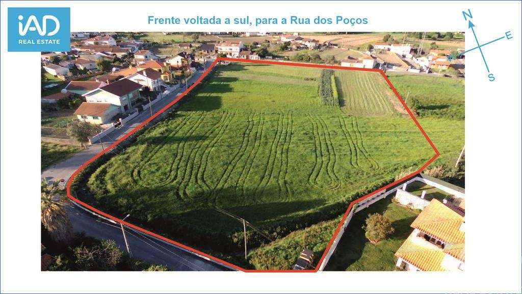 Terreno Agrícola em Eixo e Eirol - Grande imagem: 2/8