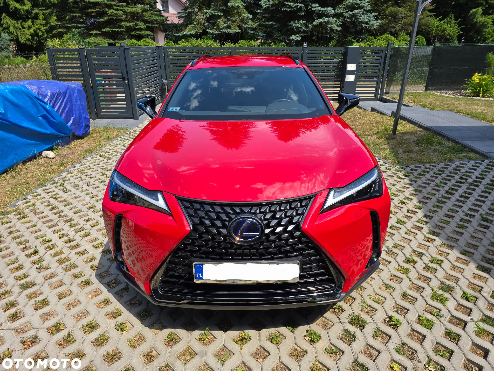 Lexus UX 250h GPF F Impression 2WD - 8