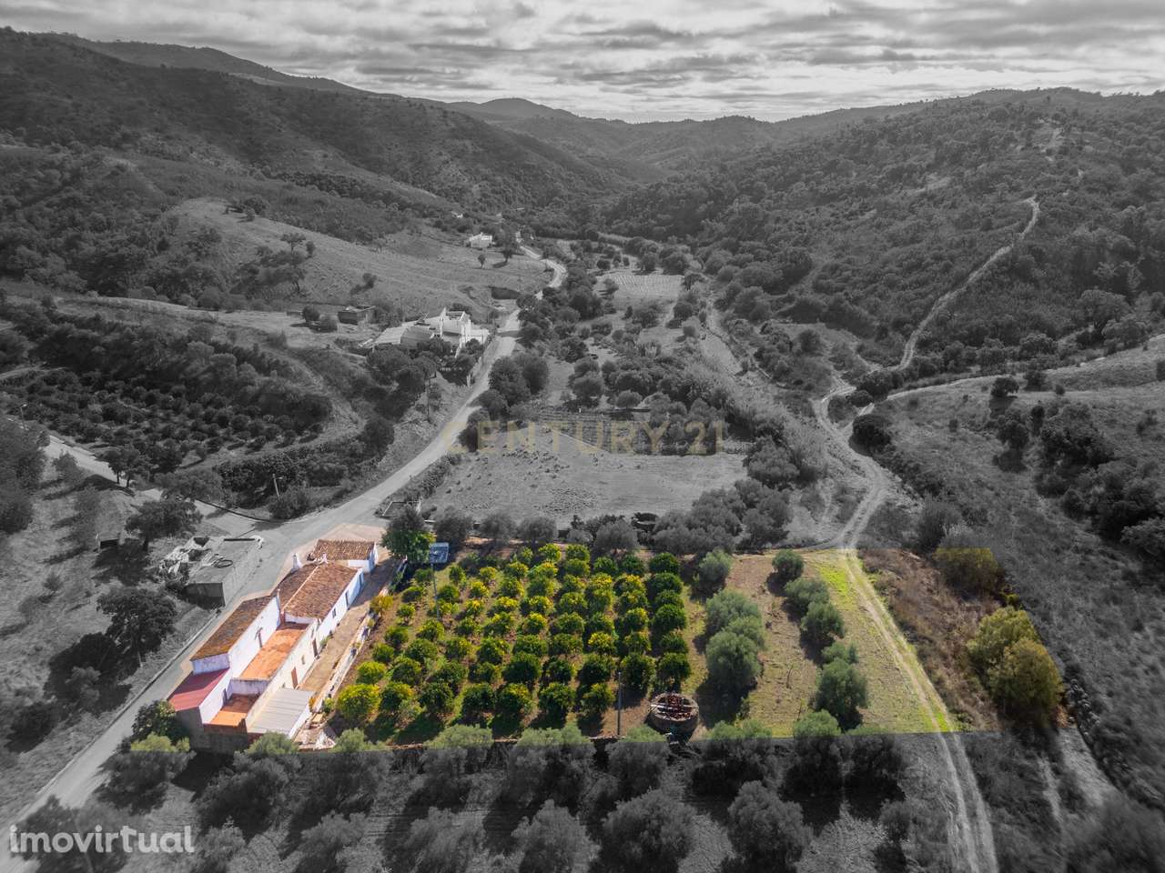 Quinta com moradia, armazem e vários anexos para turismo rural ou uso - Grande imagem: 3/38