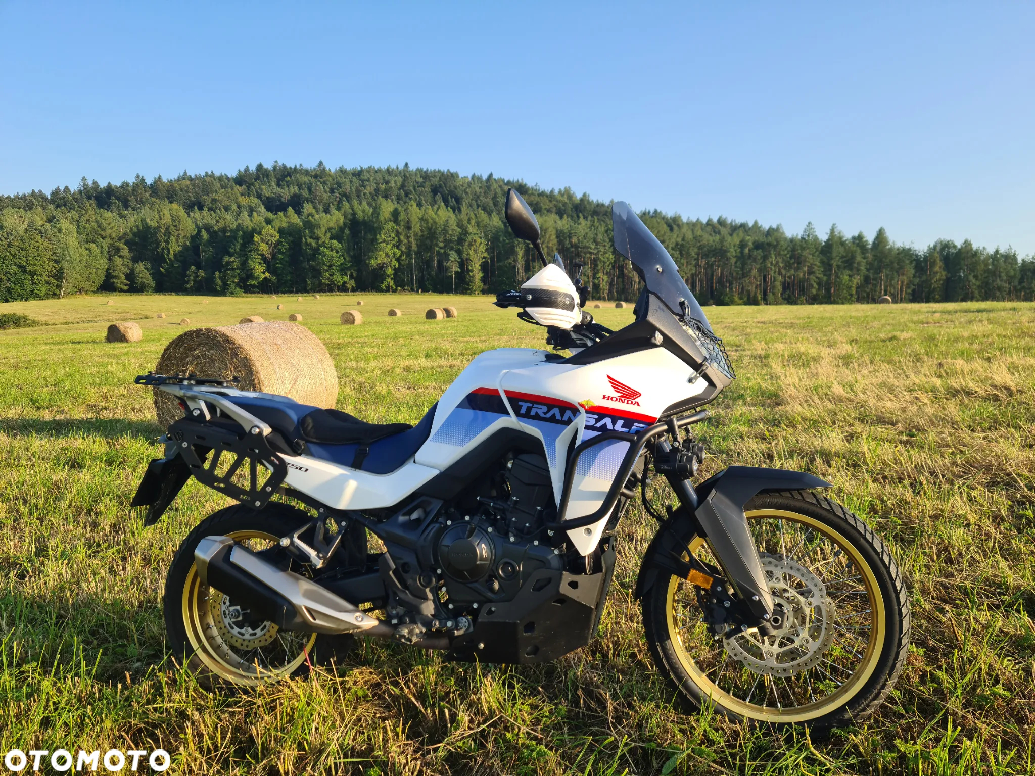 Honda Transalp - 6