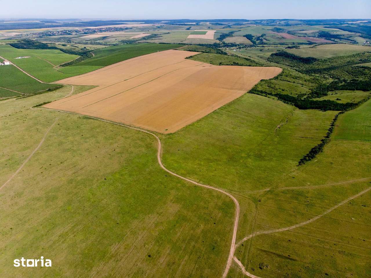 Teren arabil de 318 hectare în Teleorman - Imagine principală: 3/3