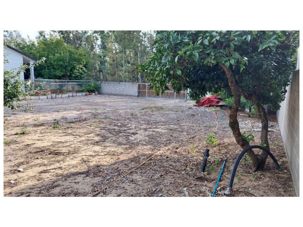 Terreno Venda Leiria - Grande imagem: 3/9