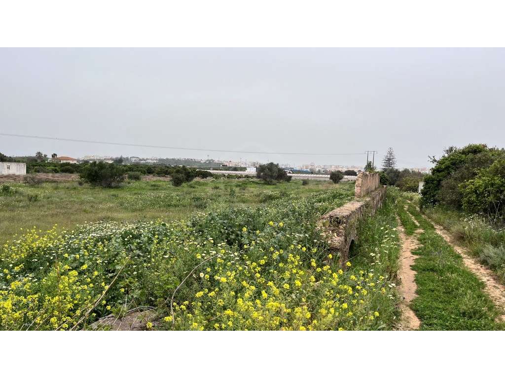 Terreno com ruína e terreno rústico, Galvana, Faro, Algarve - Grande imagem: 2/23