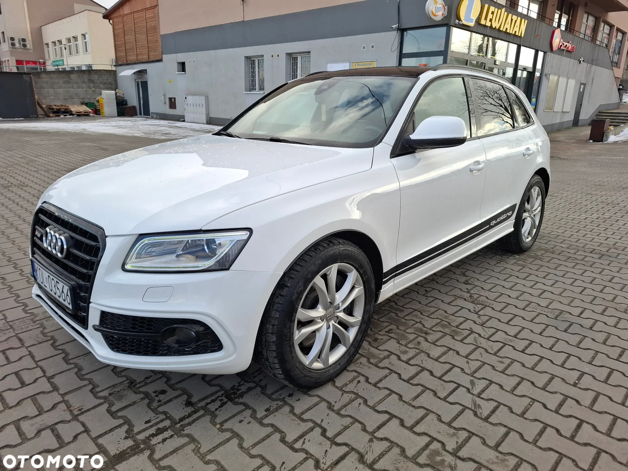 Audi SQ5 3.0 TDI Quattro Tiptronic EU6 - 18