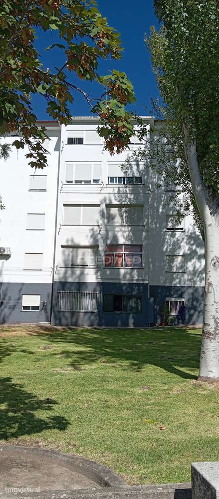 Apartamento T3 remodelado nos Assentos, Portalegre - Grande imagem: 4/4