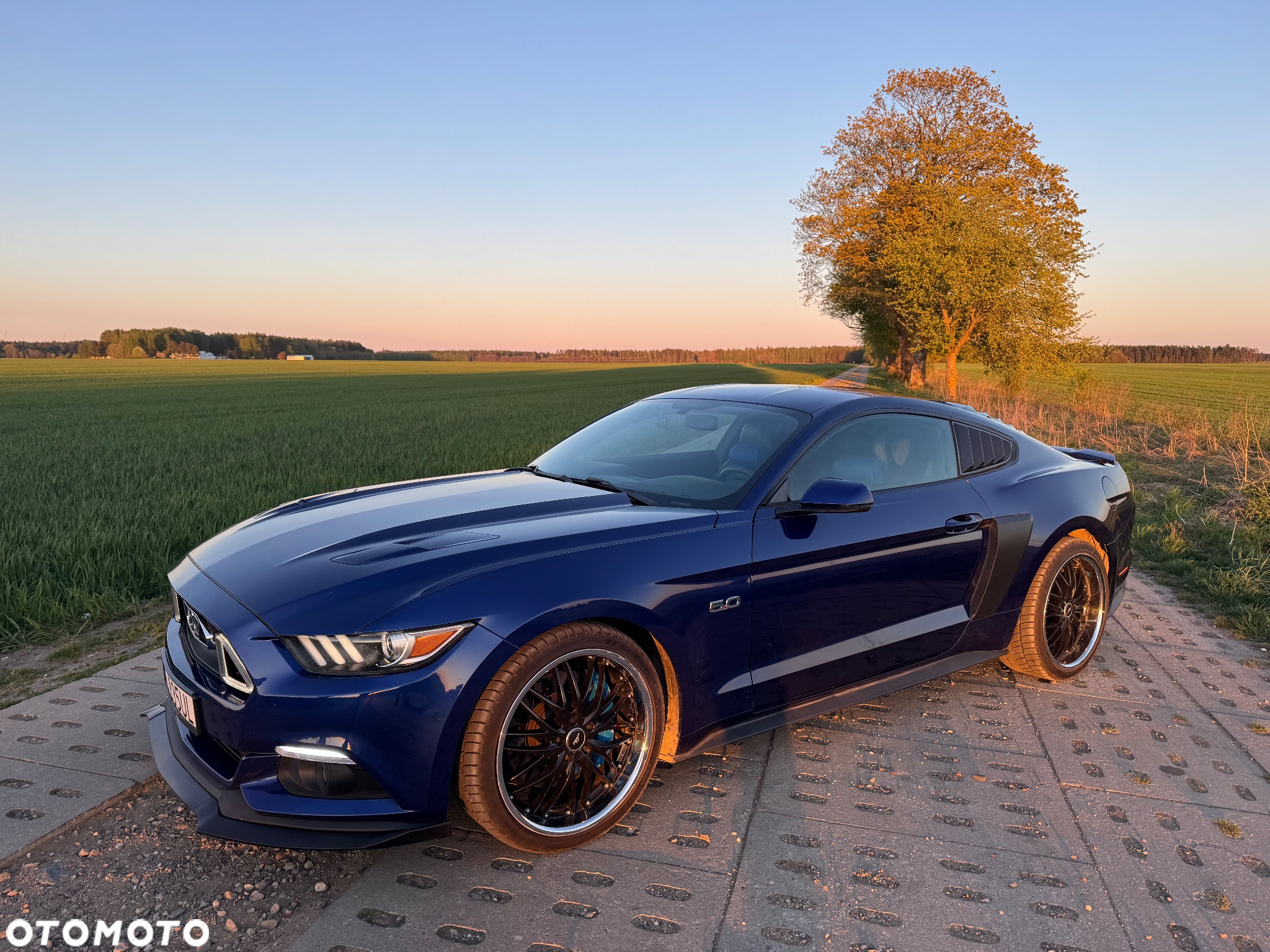 Ford Mustang 5.0 V8 GT - 3