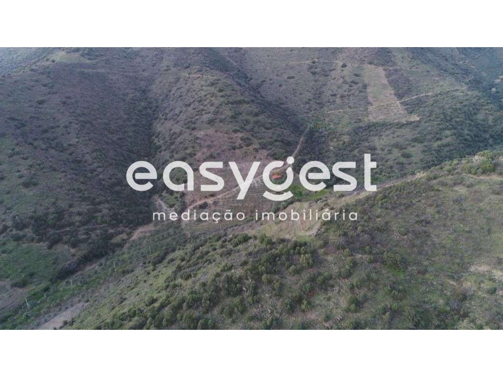 Terreno Agrícola no Alto Douro - Grande imagem: 5/26