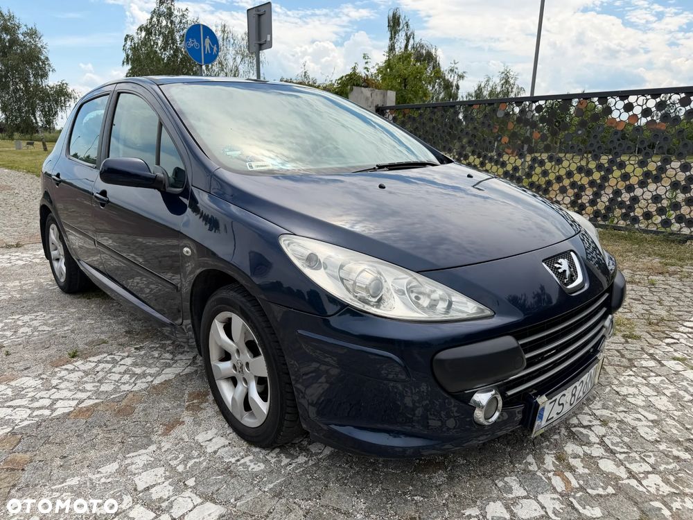 Peugeot 307 HDi 90 Filou - 7