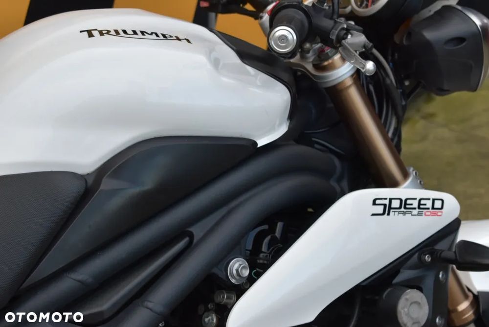 Triumph Speed Triple - 37