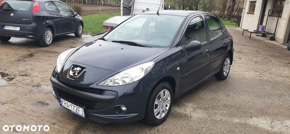 Peugeot 206 plus - 13