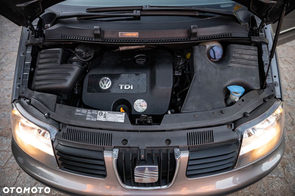 Seat Alhambra - 28