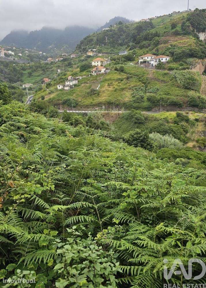 Terreno em Porto da Cruz de 610,00 m2 - Grande imagem: 2/11