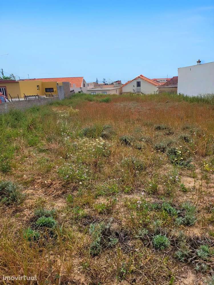 Terreno em Porto Santo – Oportunidade Única num Cenário Natural Incomp - Grande imagem: 5/9