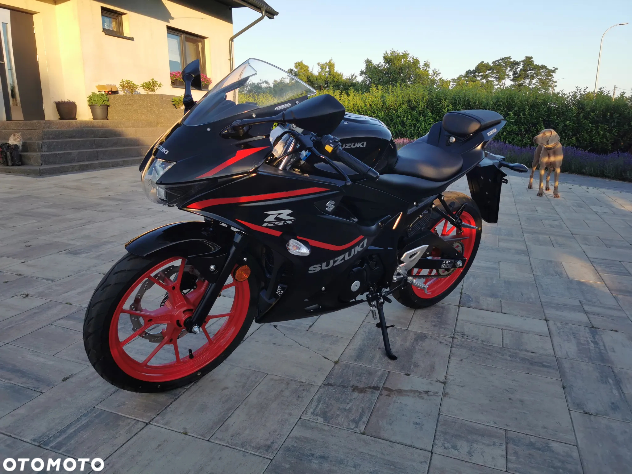 Suzuki GSX-R - 2