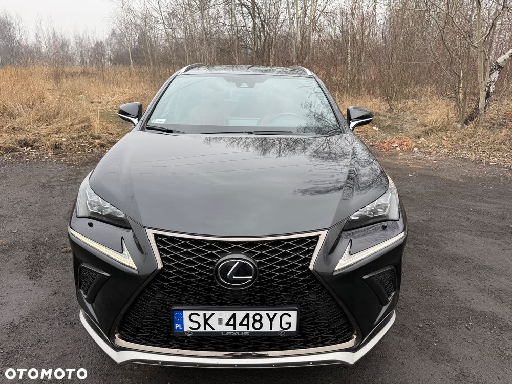 Lexus NX 2019