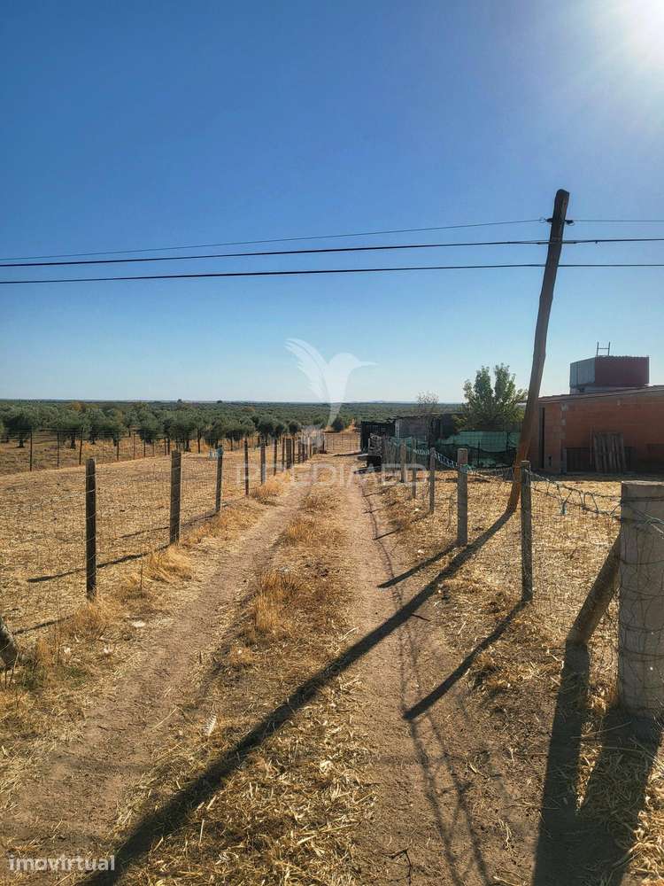 TERRENO RUSTICO - Grande imagem: 4/12