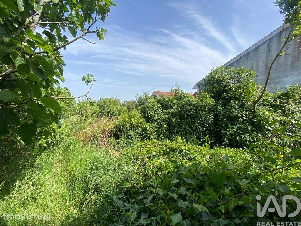 Casa / Villa em Carvalhal de 105 m2 - Grande imagem: 5/7