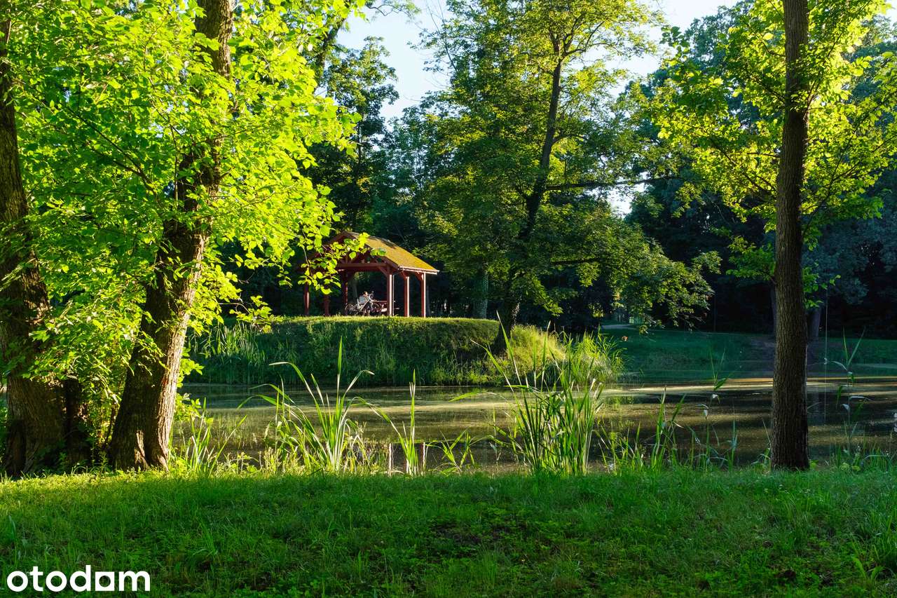 Nowa Klecina | GOTOWE | Widok na Park | okolice Kleciny, Oporowa - Pełny obrazek: 3/25
