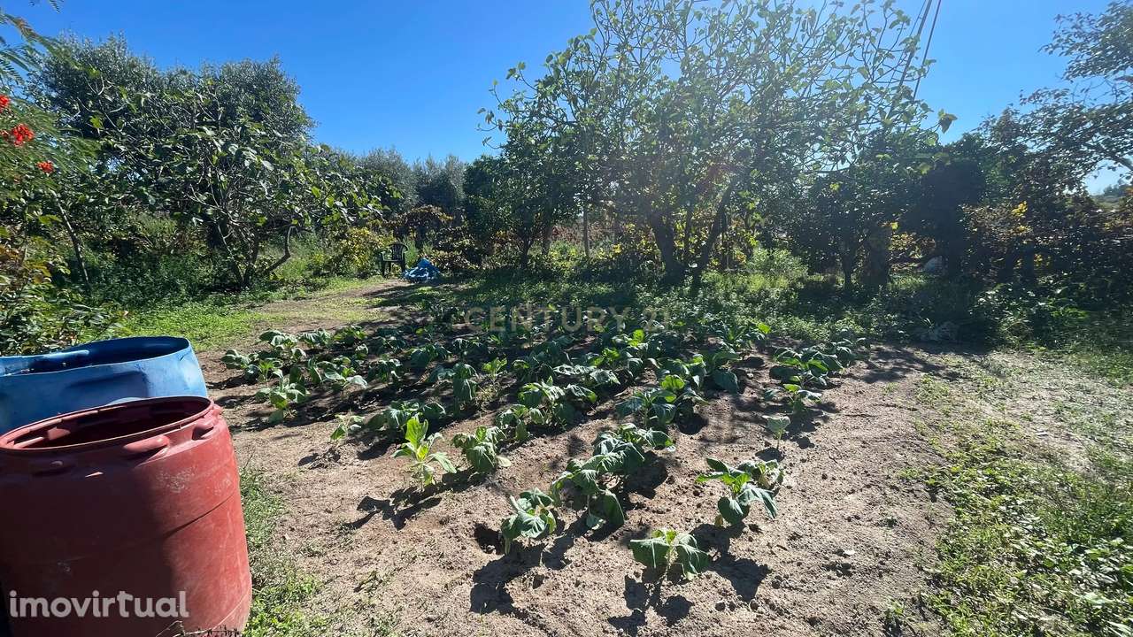 Terreno rústico | Escalos de Cima, Castelo Branco - Grande imagem: 2/20